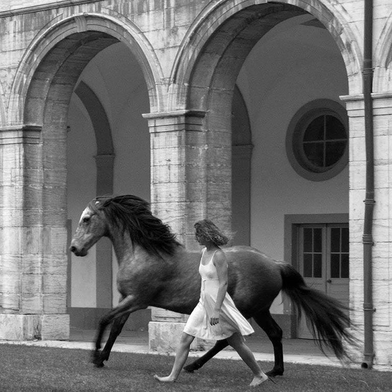 Les chevaux Célestes - Aurora