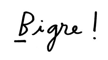 Logo Bigre